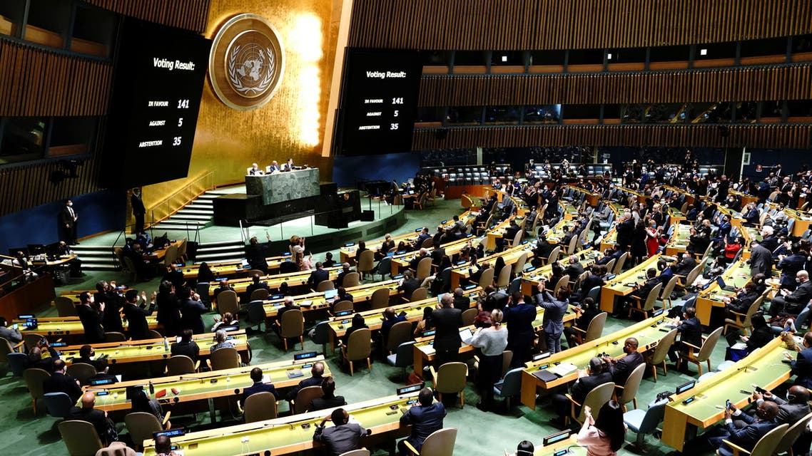 Divided World: The UN Condemnation of Russia is endorsed by Countries ...